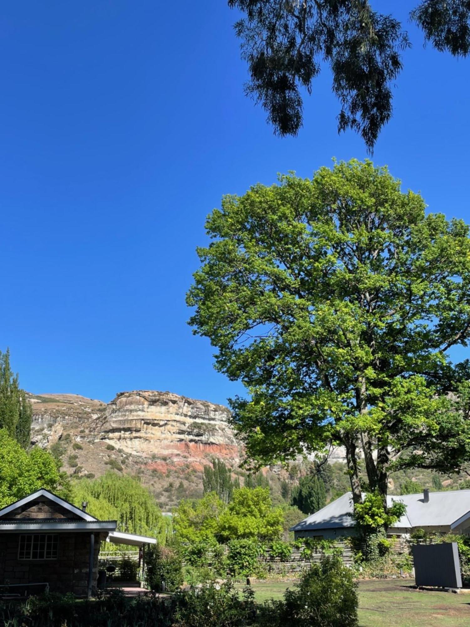 Periwinkle, Grove ,Acorn & Sage Cottages Clarens Eksteriør bilde