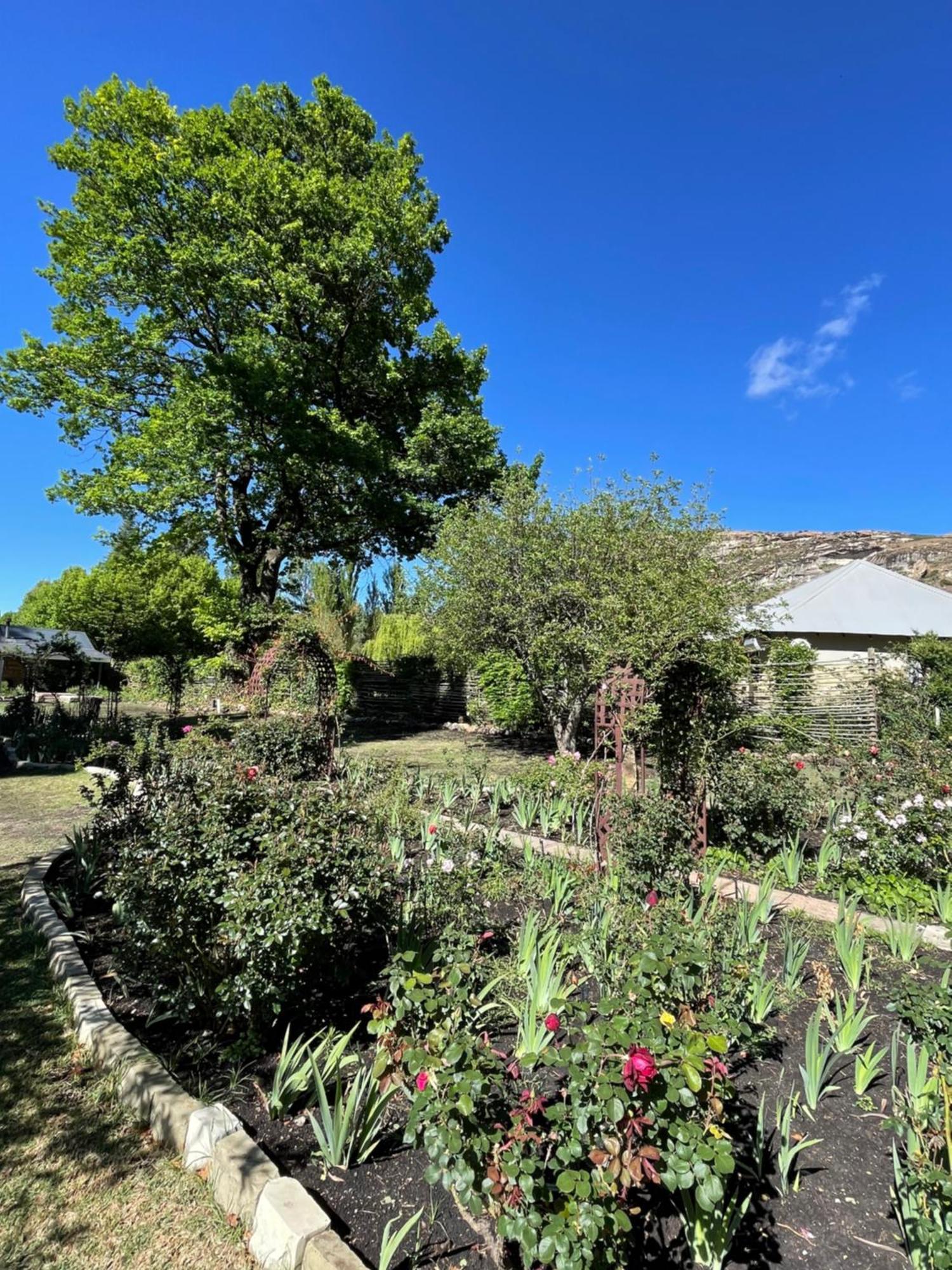 Periwinkle, Grove ,Acorn & Sage Cottages Clarens Eksteriør bilde