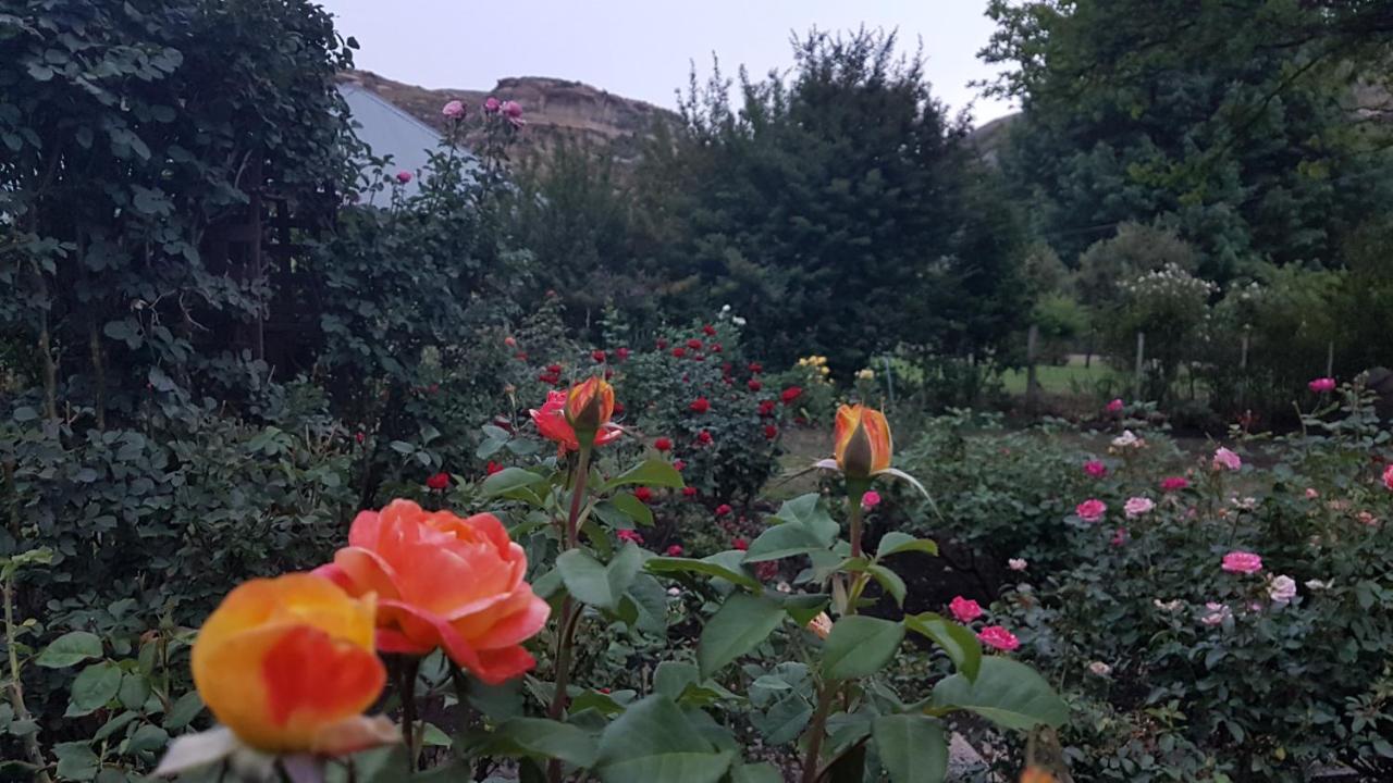 Periwinkle, Grove ,Acorn & Sage Cottages Clarens Eksteriør bilde